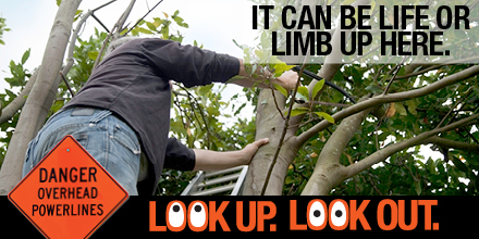 Look Up Look Out Safety Info graphic