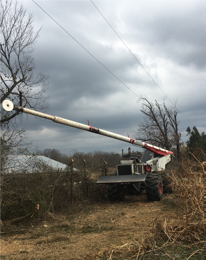 Utility workers operate a Skytrim, which makes it easier to remove tree limbs and other vegetation in hard-to-reach areas.
