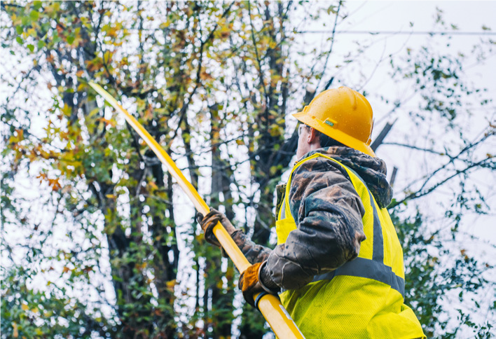 A right-of-way worker cuts away tree limbs and other vegetation that can cause power outages, especially during high winds and storms.